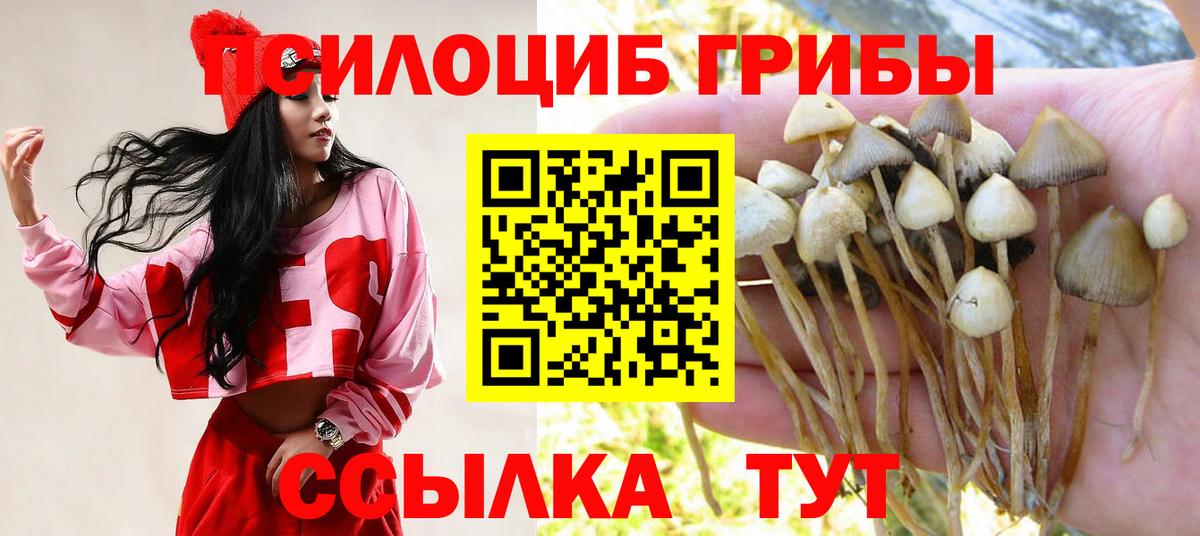 Фролово  Галлюциногенные грибы ЛСД  Галлюциногенные грибы ЛСД  Вход с VPN 