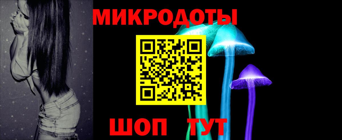 Галлюциногенные грибы Psilocybe Фролово